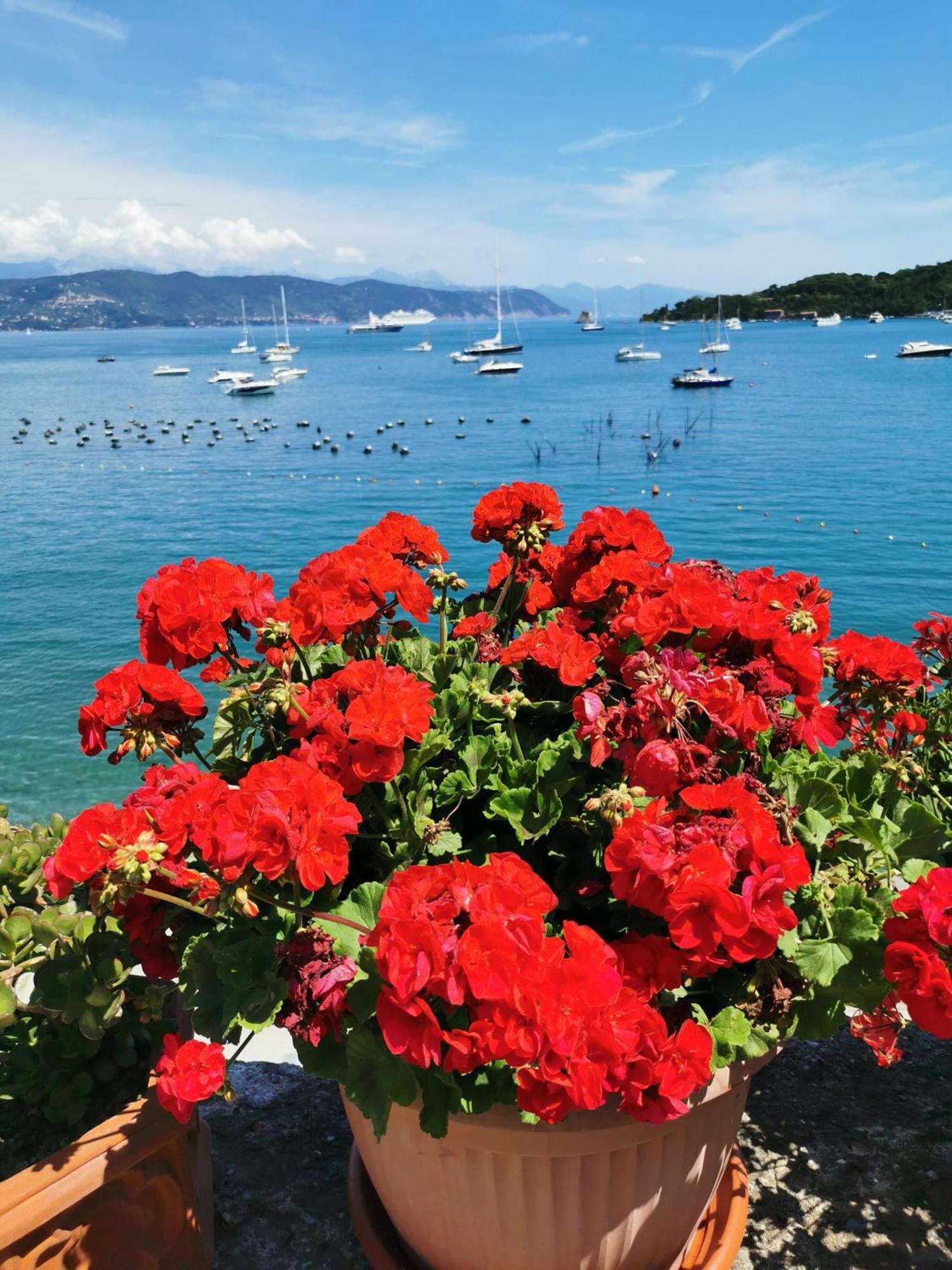 B&B La Palafitta Porto Venere Eksteriør billede